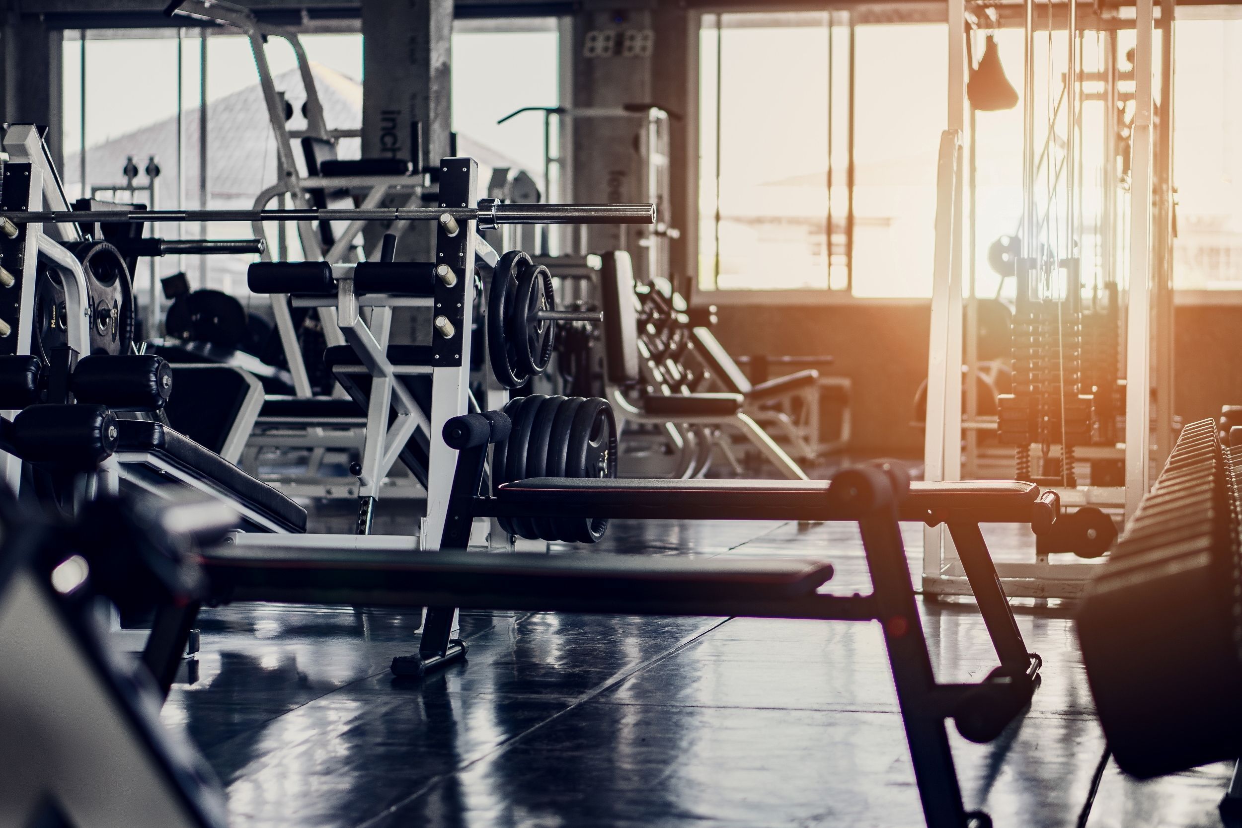 popularitate sali de fitness